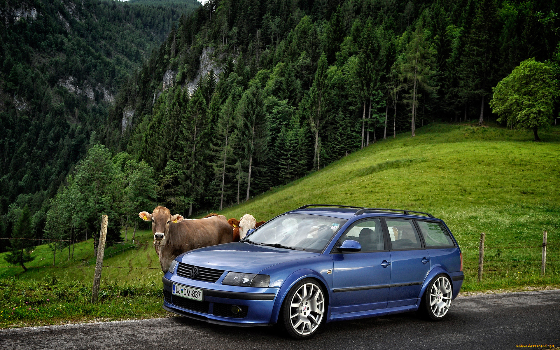 , volkswagen, vw